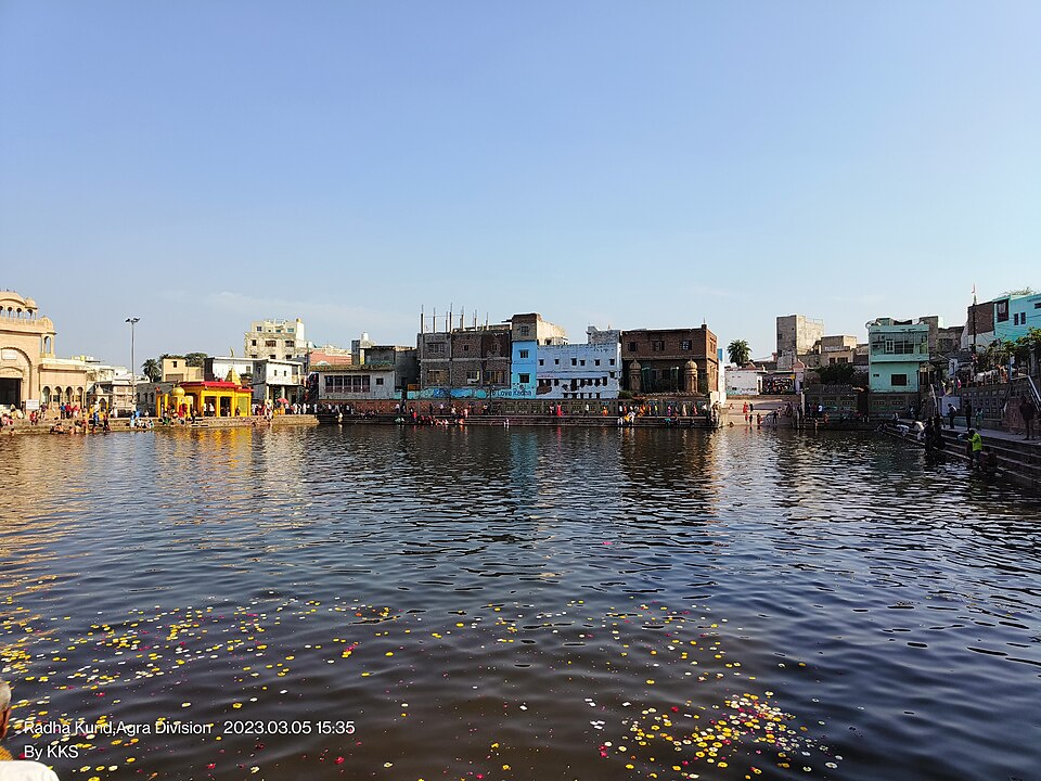 Radha Kund with flower petals on the water and ghats around it